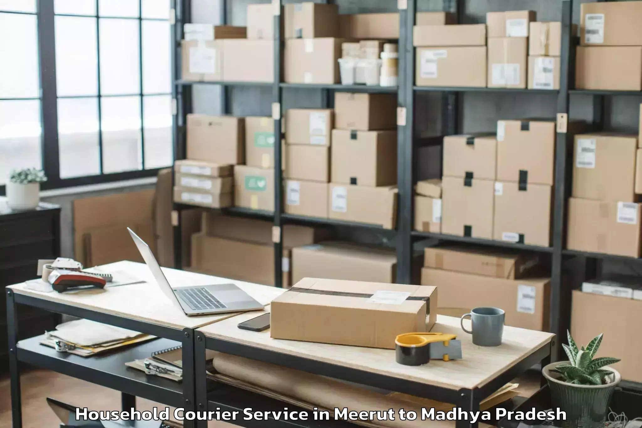 Reliable Meerut to Iit Indore Household Courier